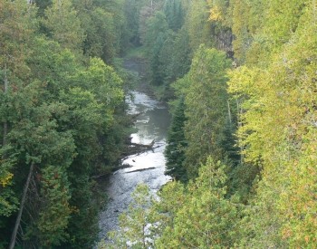 Feversham Gorge