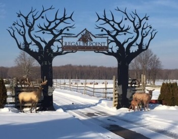 Regal Point Elk Farm