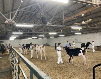 Owen Sound Fall Fair