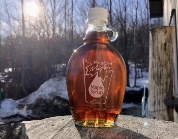 Maple Weekend at Meaford Maples