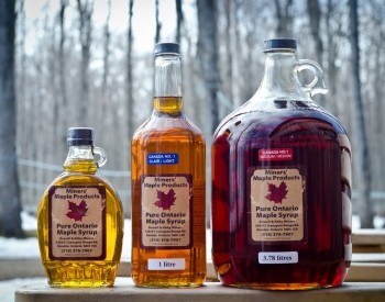 Kemble Maple Tour