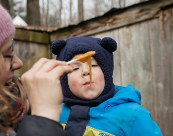 Holstein Maplefest