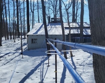 Nicolls Farms Maple Syrup