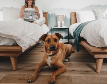a woman sitting in bed with her dog on the floor