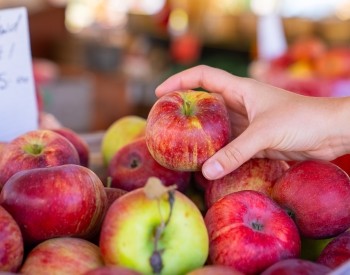 a pile of red apples 