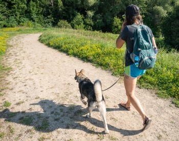 a woman walking her dog on a trail