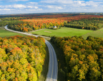 fall scene with road in middle