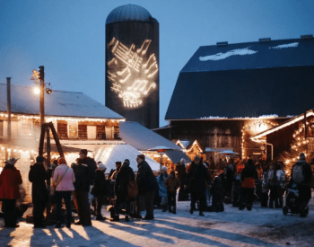 a crowd of people at a christmas event 
