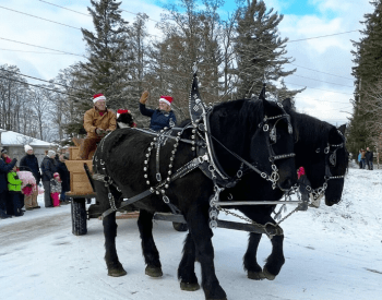 horse drawn cariage ride 