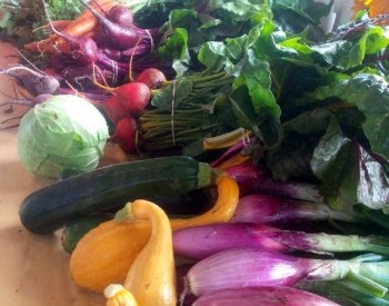 Fresh produce at the market