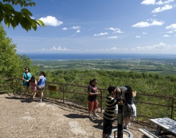 Bruce Trail Lookout